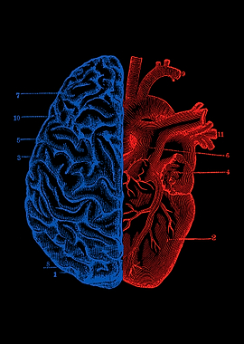 Heart and Brain