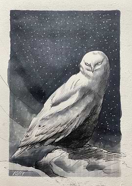 Snowy Owl in a Starry Night