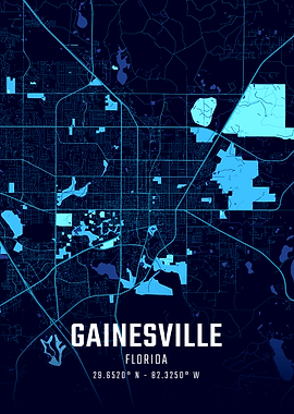 Gainesville Florida Midnight City Map