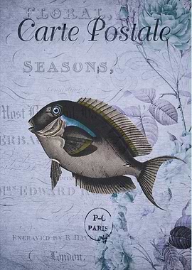 Vintage Fish and Floral Postcard