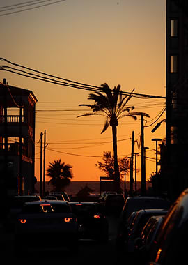 Sunset over a coastal street with palm trees