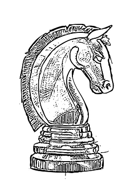 Black and White Chess Knight