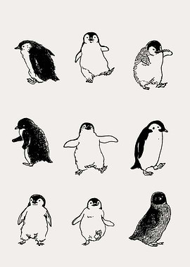 Collection of Penguin Illustrations