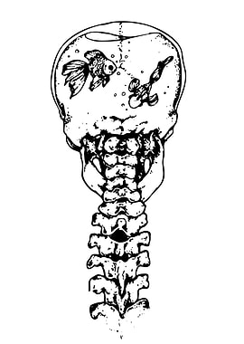 Skull with Fishbowl and Spine