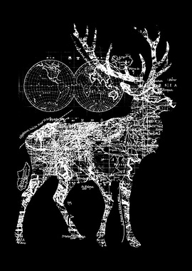 Deer Wanderlust