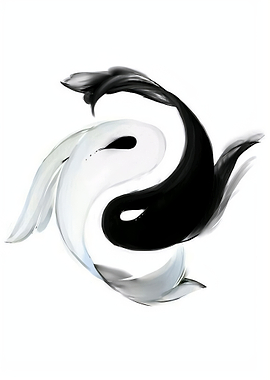 Yin Yang Koi Fish