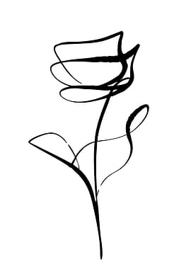 Minimalist Rose Line Art