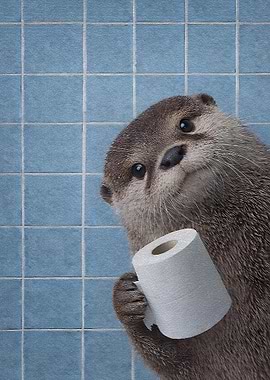 Otter holding toilet paper