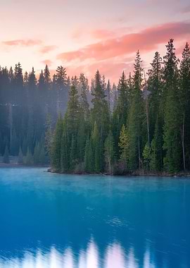 Lake and Forest at Sunrise