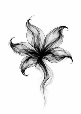 Black Smoke Flower