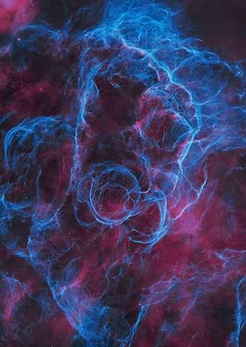 Vela Supernova Remnant