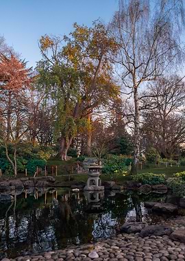 Kyoto Garden London – Japanese Stone Lantern & Pond Reflection at Golden Hour