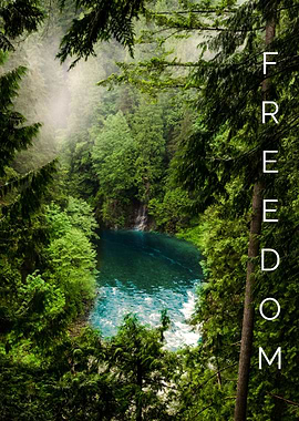 Tranquil Forest Lake