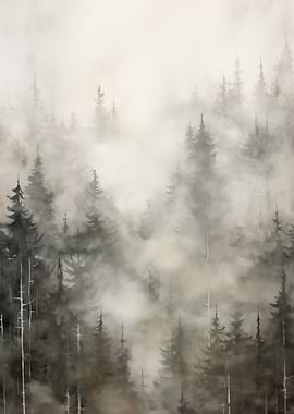 Misty Forest Landscape