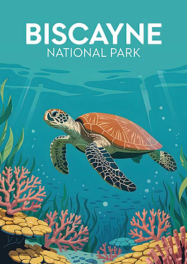 Biscayne National Park Turtle Poster