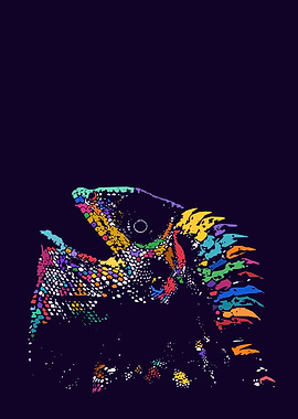 Colorful Lizard Head Close-up