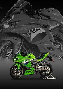 kawasaki-ninja zx Motorcycle