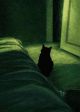 Black Cat in a Dark Room