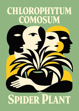 Chlorophytum Comosum Spider Plant Art