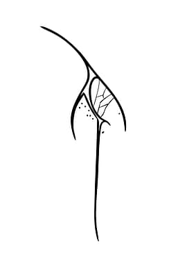 Abstract Elven Design