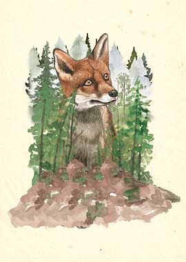 Fox in a Forest