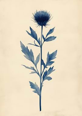 Vintage Thistle Botanical Wall Art | Blue Thistle Flower Painting