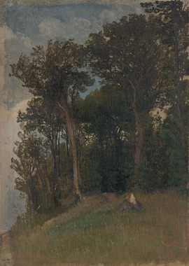 Forest scene with trees and sky