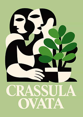 Crassula Ovata Plant Art