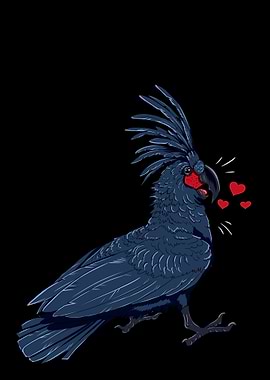 Black Palm Cockatoo with Hearts