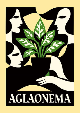 Aglonema Plant Poster