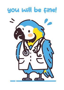 Doctor Parrot Encouragement