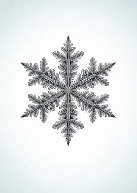 Detailed Snowflake Illustration