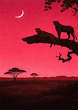 Lions on a Tree Branch at Sunset