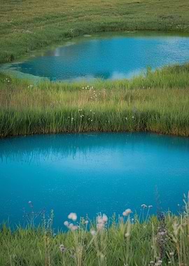 Ponds in Grassy Field
