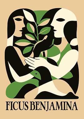 Ficus Benjamin illustration