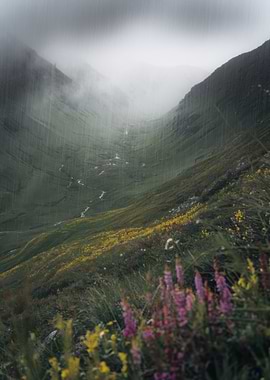 Mountain Valley in Rain