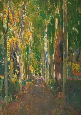 A Tree-Lined Path in Autumn