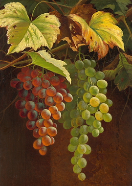 Grapes and Leaves Still Life