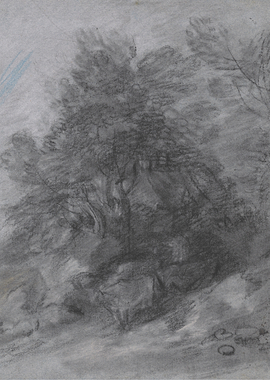 Charcoal sketch of trees and rocks