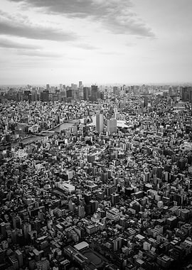 Aerial View of a Dense Cityscape