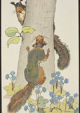 Two Squirrels Climbing a Tree