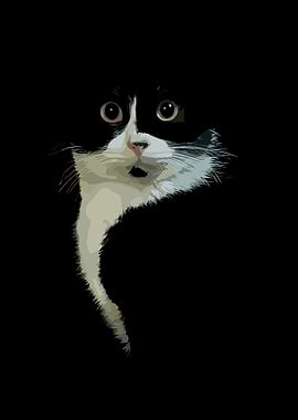 Surprised Black and White Cat