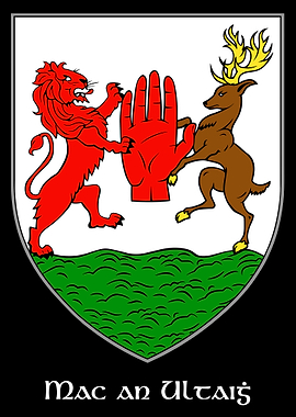 Mac an Ultaigh – McNulty Family Coat of Arms