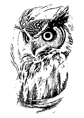 Owl with Forest Silhouette