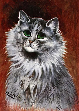 Portrait of a Fluffy Grey Cat