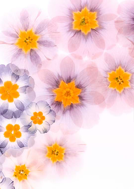 Soft Focus Floral Arrangement