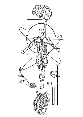 Anatomical and Geometric Human Body Illustration