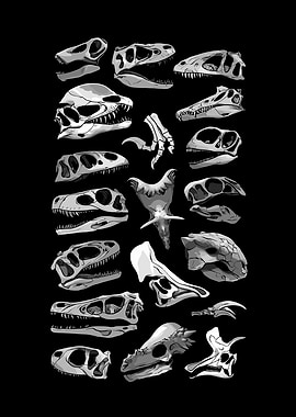Dinosaur Skulls Collection