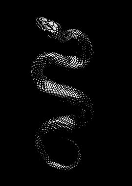 Stylized Black and White Snake