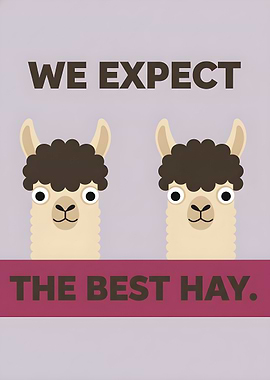 We Expect The Best Hay. Funny Llamas Artwork